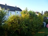 Abschluss-Ausfahrt Saison 2017 002